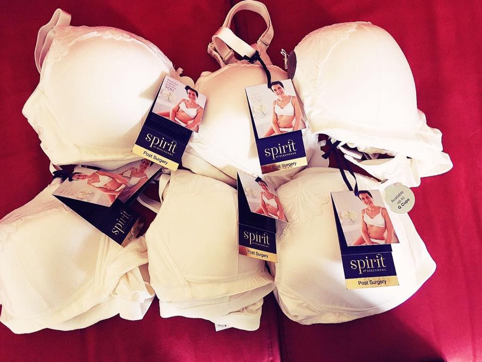 Төслийн зураг